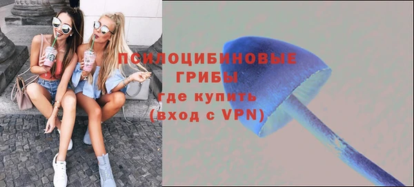 спайс Алексеевка