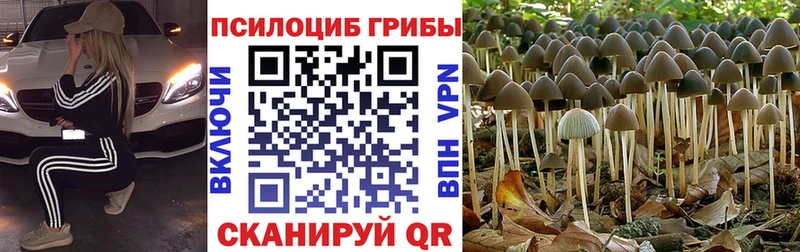 Галлюциногенные грибы мицелий  mega маркетплейс  Соликамск 
