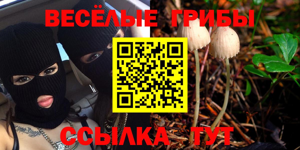 Соликамск  Псилоцибиновые грибы Cubensis  Вход с VPN  Псилоцибиновые грибы MAGIC MUSHROOMS 