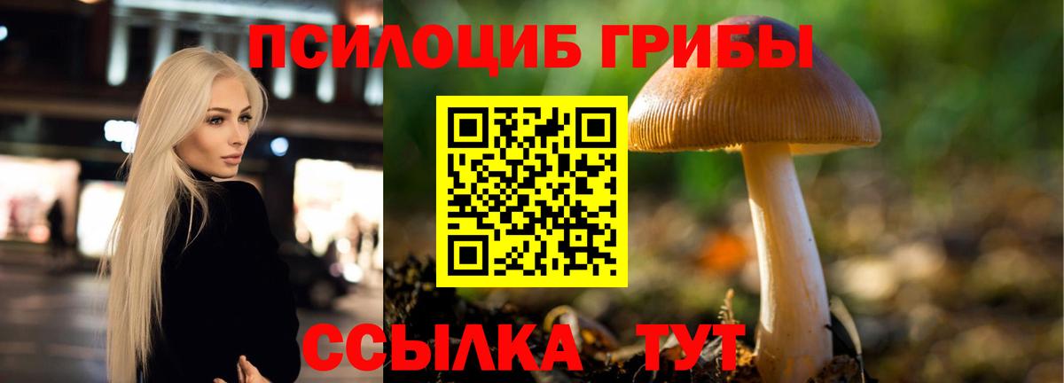 Псилоцибиновые грибы Cubensis Соликамск